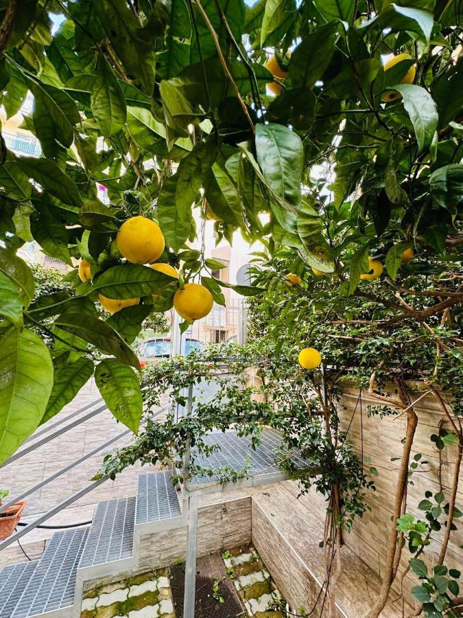 Ferdirisa Vesuvio Home&Garden San Giorgio a Cremano Esterno foto